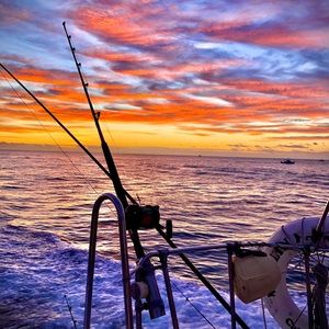 Meet your Posher, Chase